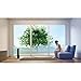 Dyson AM05 Hot + Cool Fan Heater, Blue