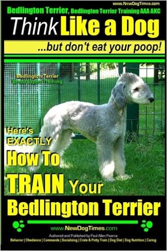 akc bedlington terrier