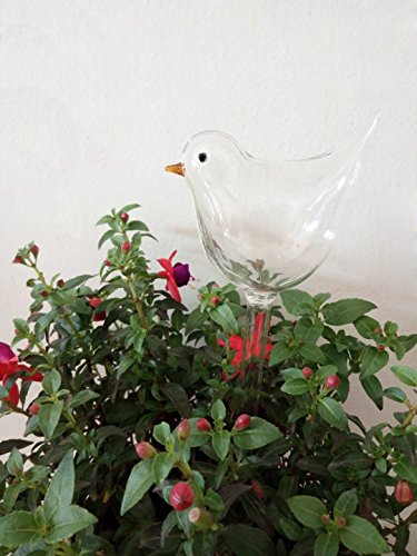 Creative Bird Shaped Hand Blown Transparent Glass Flower Automatic Waterer Plant Self Watering System for Garden House Outdoor Small Plant Potted Plant Water Bottle Waterer Container (Mini Bird)