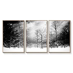 Floating Framed Canvas Wall Art for Living Room, Bedroom Black and White Landscape Canvas Prints for Home Decoration Ready to Hang - 16"x24"x3 Panels