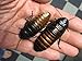 Madagascar Hissing Cockroach Adult Breeding Pair of (Gromphadorhina portentosa) by Honeybees100