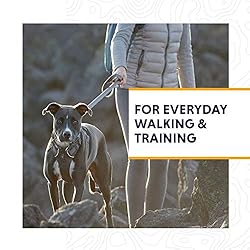 Ruffwear, Front Range Dog Harness, Reflective and