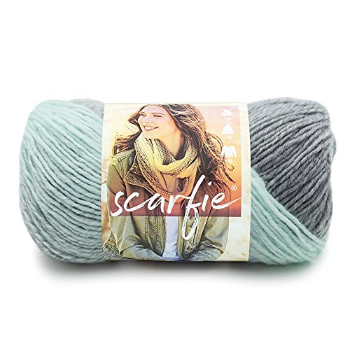 Lion Brand Yarn (1 Skein) Scarfie Bulky Yarn, Mint/Silver