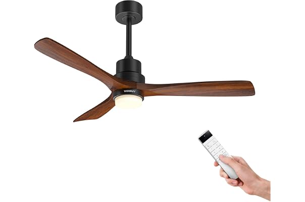 Ceiling Fans