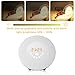 Mosche Sunrise Alarm Clock, Digital Clock, Wake Up Light with 6 Nature Sounds, FM Radio and Touch Control (White)