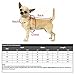 BOBIBI Ugly Christmas Dog Sweaters Pet Dog Winter Knitwear Warm Clothes