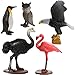 Migration 50 Piece Set of Animal Plastic Figures, Includes Jumbo 6 Inch Wild, Safari, Zoo, Jungle, Farm, Desert, Ocean Animals, Birds, Accessories and Container for Toddlers and Kids