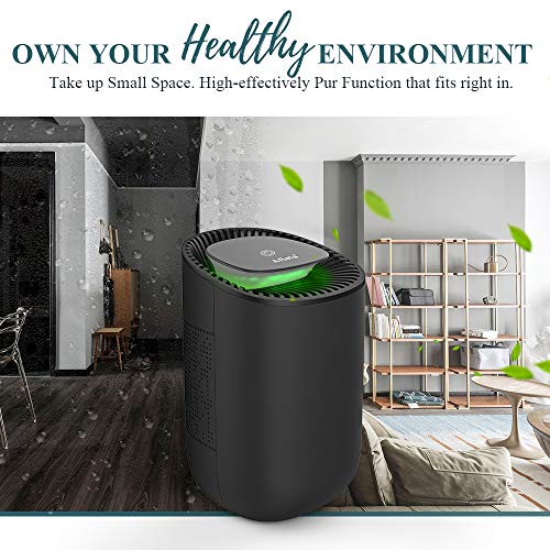 Afloia Electric Home Dehumidifier, Portable Dehumidifier for Home Bedroom 22 Ounces Deshumidificador,Quiet Room Small Dehumidifiers for Home Bathroom Bedroom Dorm Room Baby Room RV Crawl - Thumbnail 6