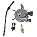 HIPA Carburetor + Fuel Line / Filter + Spark Plug for STIHL FS120 FS200 FS250 String Trimmer