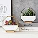 Modern Wall Planter, Metal Wire Octagon Design Wall-Mounted Shelves with Ceramic Flower Pot, Air Plant Container Hanging Vase Desktop Succulents Planter Goldthumb 3