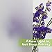 Fancy-fix Privacy Window Film Non-Adhesive Frosted Film Anti UV Stained Glass Cling for Home Decoration 35.4in. by 59in.(90 X150cm)