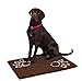 BIRDROCK Home Chenille Dog Doormat - Absorbent Surface to Keep Floors Clean, Non-Skid Bottom for Safety, Ultra-Soft & Durable, Ideal for Pets, Protects Floors from Dirt - 35 x 25, Brown