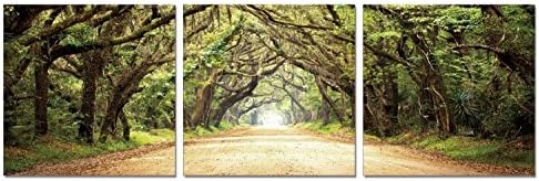 SLS Vision. Path of Enchantment. 83 x 28 inches. Ready to Hang. Contemporary Art, Modern Wall Decor, 3 Panel Commercial Grade Machine Framed Giclee Canvas Print. Home Decoration Painting. A1003XXL