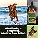 K2xLabs 4PACK, 4Month Supply Max Potency Buster's Organic Hemp Oil for Dogs and Cats Perfect Ratio Omega 3 and 6 Made in USA Hip and Joint Health, Natural Relief, Calming