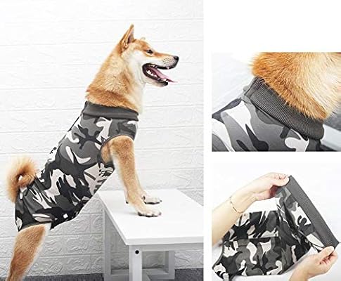 abbigliamento cani fila