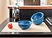 EVO Sustainable Goods 16 oz. Bowl Set, Blue