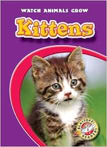Kittens Paperback Blastoff Readers Watch Animals Grow Watch Animals Grow Blastoff Readers