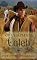 Livro Caleb (Os Chapmans Livro 3)