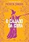 Livro O cajado da cura
