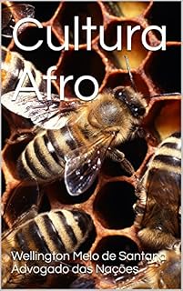 Livro Cultura Afro (A Busca Pela Verdadeira Religião Livro 4)