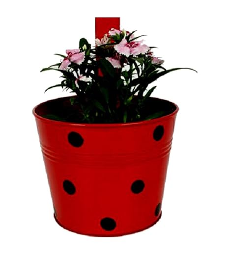 Cocogarden Metal Round Railing Planters Dotted(Red)