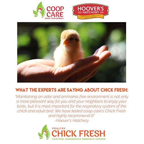 Coop Care Chick Fresh - Odor Control Spray for Backyard Chickens. Eliminator of Chicken Coop & Brooders Odor & Ammonia! 24 oz Poultry Spray Bottle Poultry Supplies from