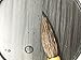 Easyou Hu Brush Chinese Brush for Calligraphy and Sumi Drawing Pure Horse Hair