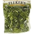 Fluker's Repta Vines-Pothos for Reptiles and Amphibians