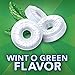 Life Savers Wint-O-Green Gusset Bag, 41-Ounce