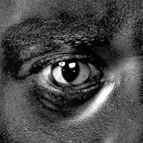 Wiley - Evolve or Be Extinct Lyrics - Zortam Music