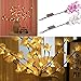 Fine Phalaenopsis Tree Branch Lights - Led Branches Battery Powered Decorative Lights Tall Vase Filler Willow Twig Lighted Branch for Home Party Garden Decoration (White)