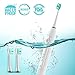 Electric Toothbrush Automatic Toothbrush Toothbrushes Waterproof Rechargeable Sonic Electric Toothbrush For Adults Power Toothbrush For Adults 3 Replacement Heads Electric Toothbrush For Travel White