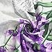 Riyidecor Lavender Purple Lilac Shower Curtain Set for Bathroom 72Wx72H Inch Flower Floral Vintage Fabric Bath Curtain for Women Girl Bathtub Accessories Plant Waterproof 12 Pack Plastic Hooks WW-VCEH