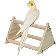 Parrot Wood Perch for Bird Macaw African Greys Budgies Parakeet Cockatoo Cockatiel Conure Lovebird Table Training Perch Stand Cage (7.9x5.5x5.5 inch)