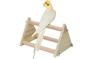 LITEWOO Parrot Wood Perch for Bird Macaw African Greys Budgies Parakeet Cockatoo Cockatiel Conure Lovebird Table Training Perch Stand Cage (7.9x5.5x5.5 inch)