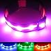 Blazin Light Up Dog Collar - The Original LED Dog Collar - USB Rechargeable - Waterproof - 1,000 Feet of Visibility - Dog Collar Light for Small, Medium, Large Dogs - USA Brand