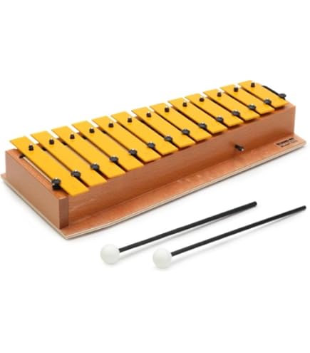 Amazon.com: Studio 49 AGd 2000 Alto Glockenspiel : Musical Instruments