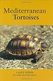 Mediterranean Tortoises by Lance Jepson