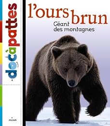 L' ours brun