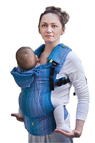 lenny lamb up carrier