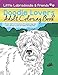Doodle Lovers Adult Coloring Book by April M Cox, Harry Aveira
