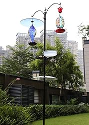 13 1/2 Inch Clear Glass Two-Way Squirrel Baffle and