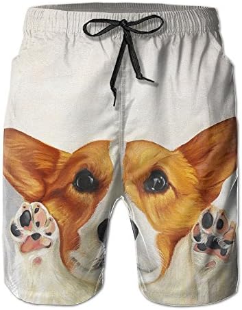 Men's It Is A Cute Corgi Dog With Raised Paw Stylish Beach Short Boardshot Trunks For Leisure
