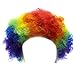 Funny Party Hats Clown Costume Adult - Clown Wig, Clown Shoes, and Costume Accessory - Clown Costume Accessories