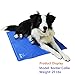 EXPAWLORER Pet Cooling Gel Pad, Comfort Non-Toxic Cold Mat for Dogs Cats, Small 26