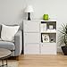 IRIS USA, Inc. USA 3 Tier Wood Storage Shelf with Door, White