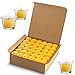 Candle Charisma Citronella Scented Votive Candles - 10 Hour Burn time - Set of 72 for Dinner, Wedding, Halloween and Holiday Decorations