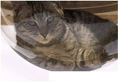 indoor cat jungle gym