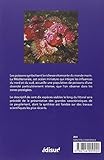 Image de Poissons de méditerranée