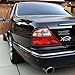 DNA Fish Darwin Magnetic Car Emblem - 5.5
